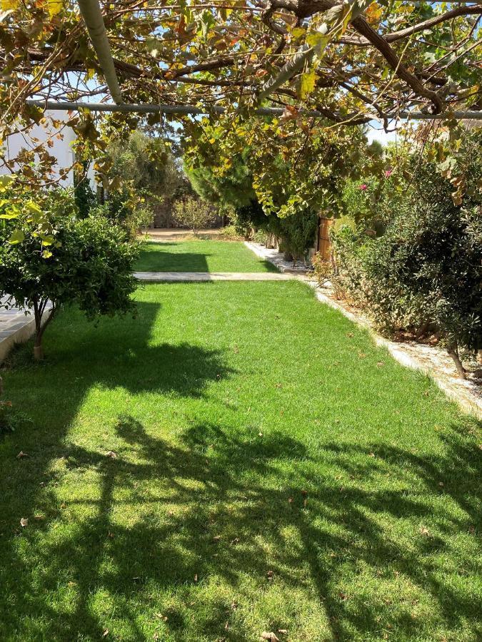 Ninemia Naxos Suites Agios Thaleleos Exterior foto
